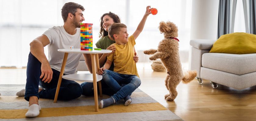 Family plays with a dog indoors. A boy holds a ball, and the dog stands on its hind legs.