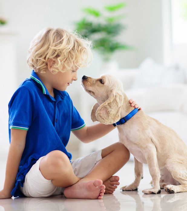 A child with blonde hair sitting on the floor in a blue shirt petting a light-brown spaniel while they gaze at each other.
