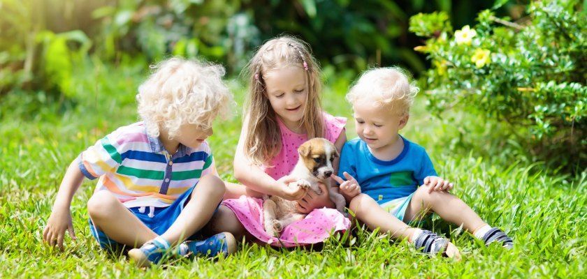 Three children seated in grass petting a puppy, sunny day.