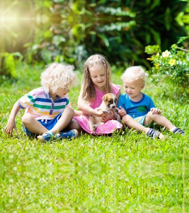Three children sitting on a grassy lawn together, happily petting a small puppy.