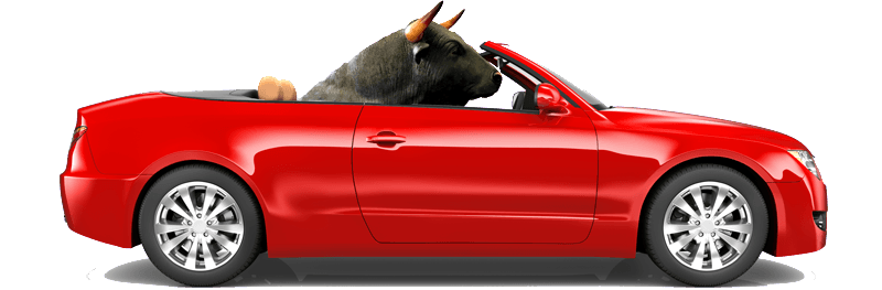 bull driving red car