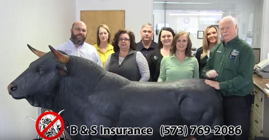 B&S Team with large bull