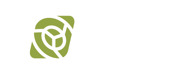 TSI logo