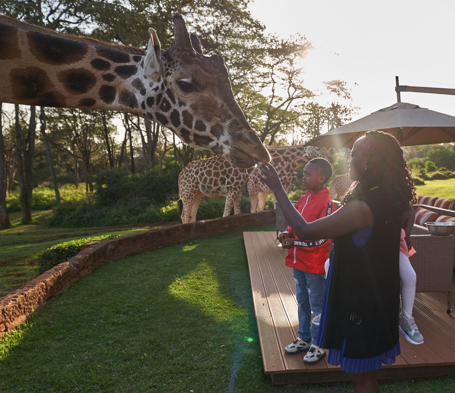 Couple interacting with Giraffe