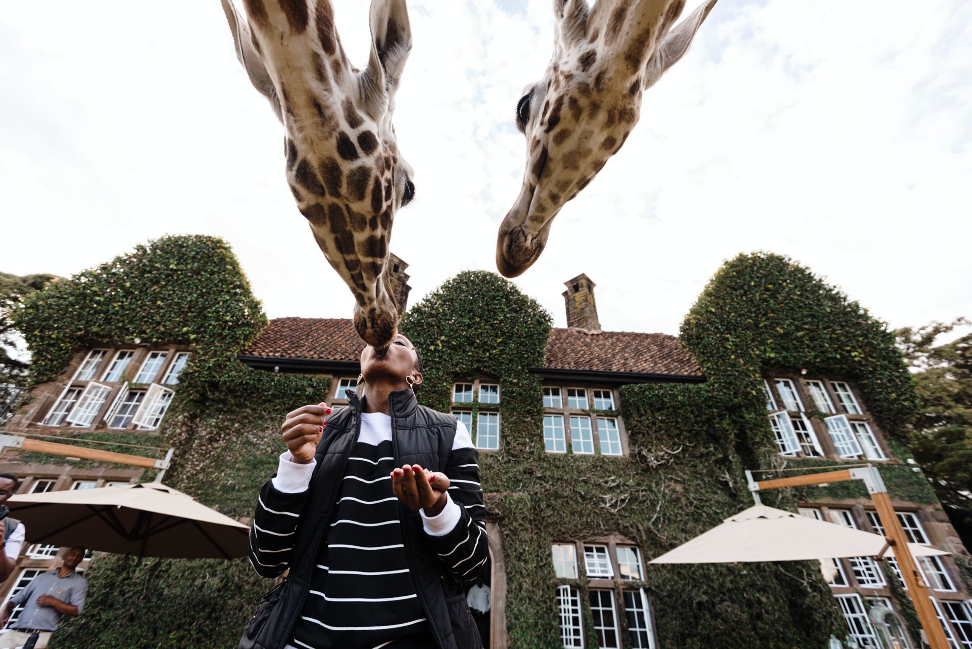 Giraffe Manor Sitting Area