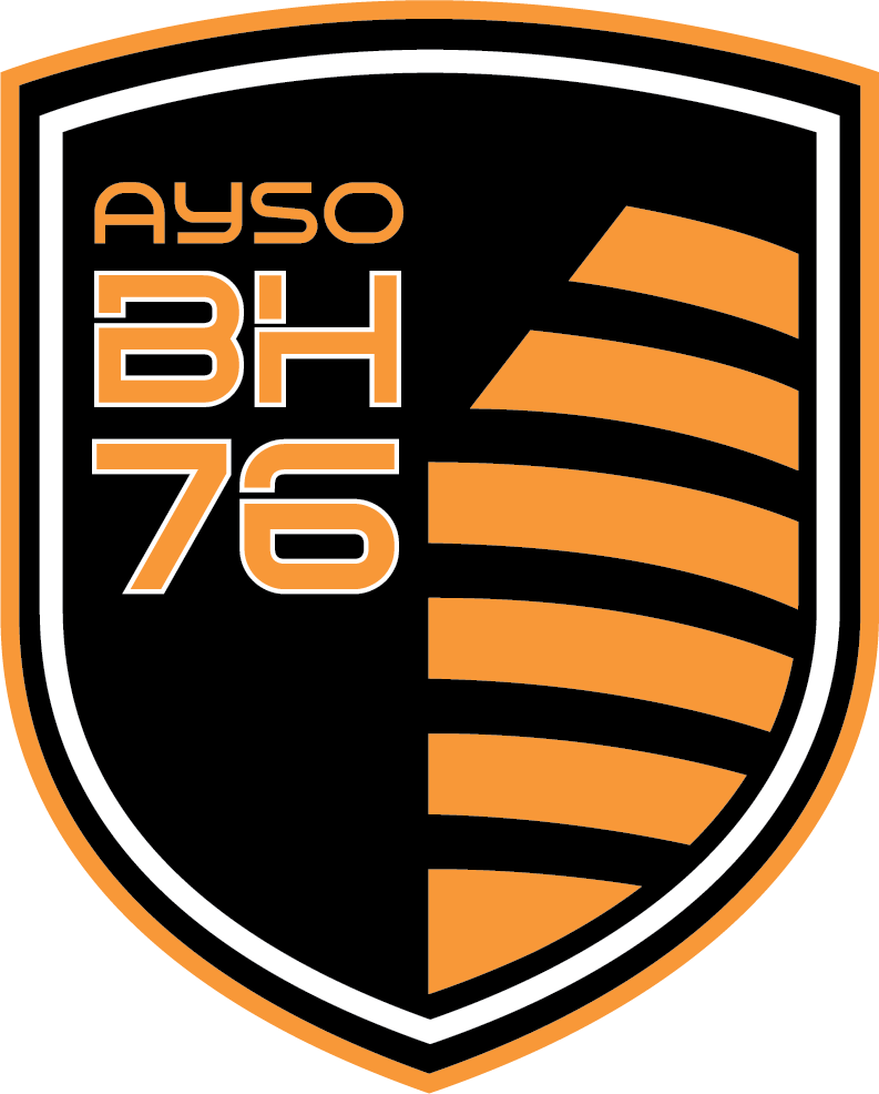 American Youth Soccer Organization Region 76