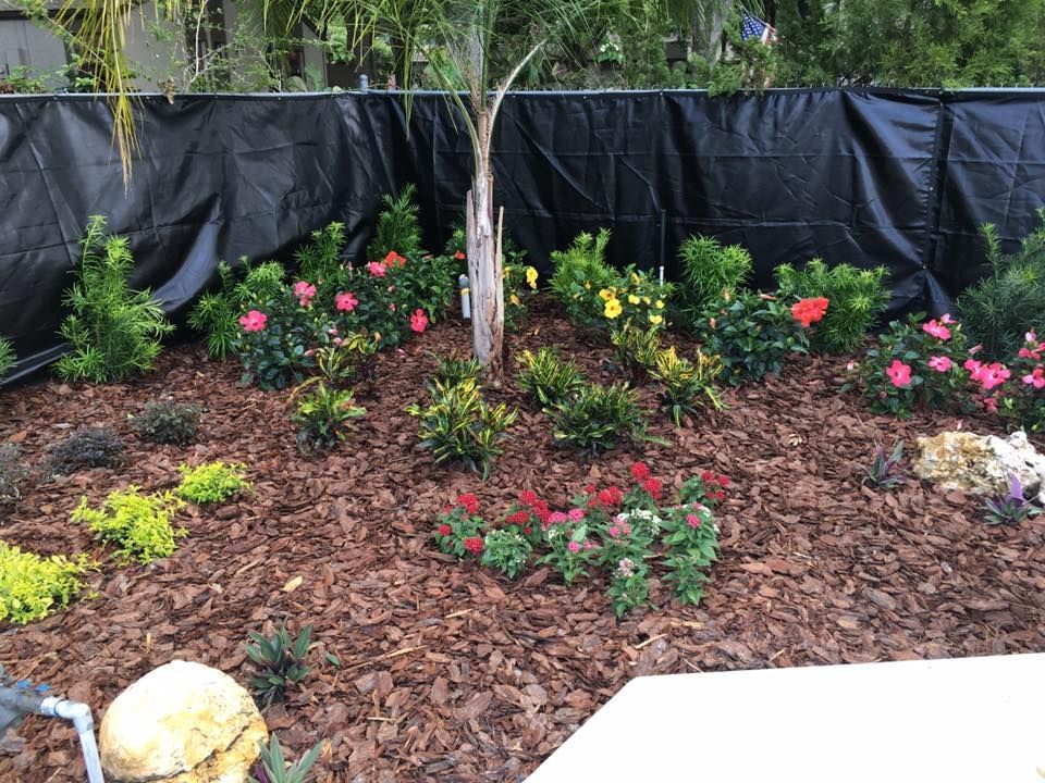 Beautiful Garden