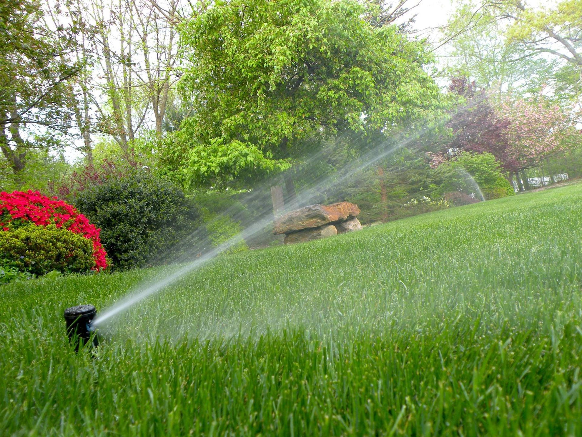 Installing House Irrigation