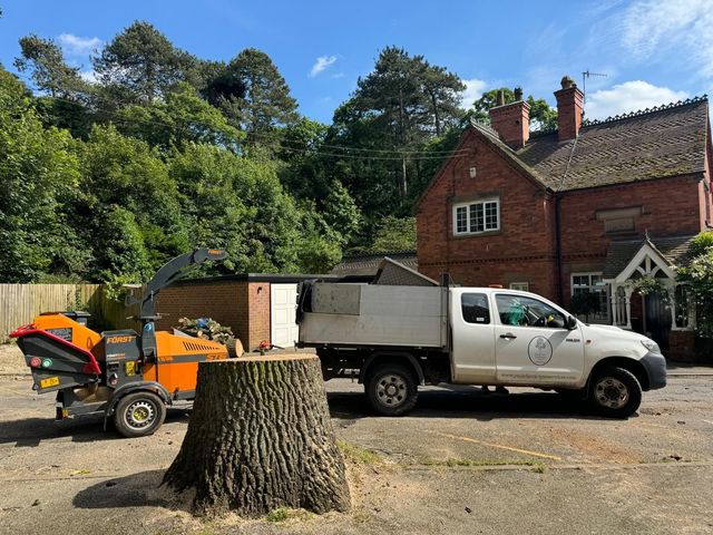 Residential Tree Caring Mason County