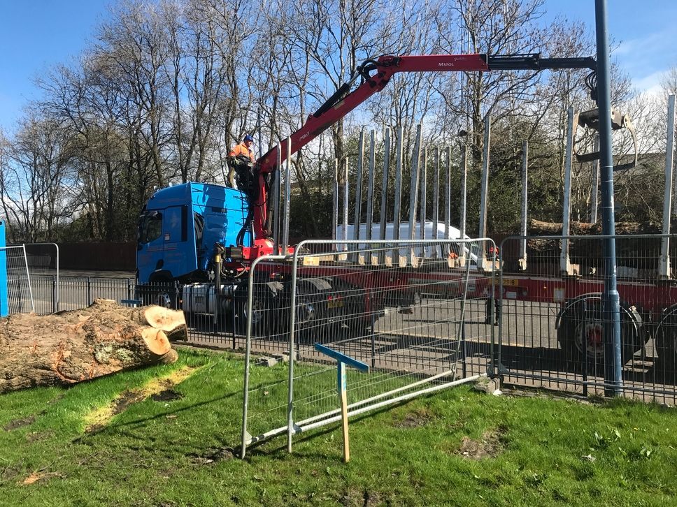 tree sectional dismantling service