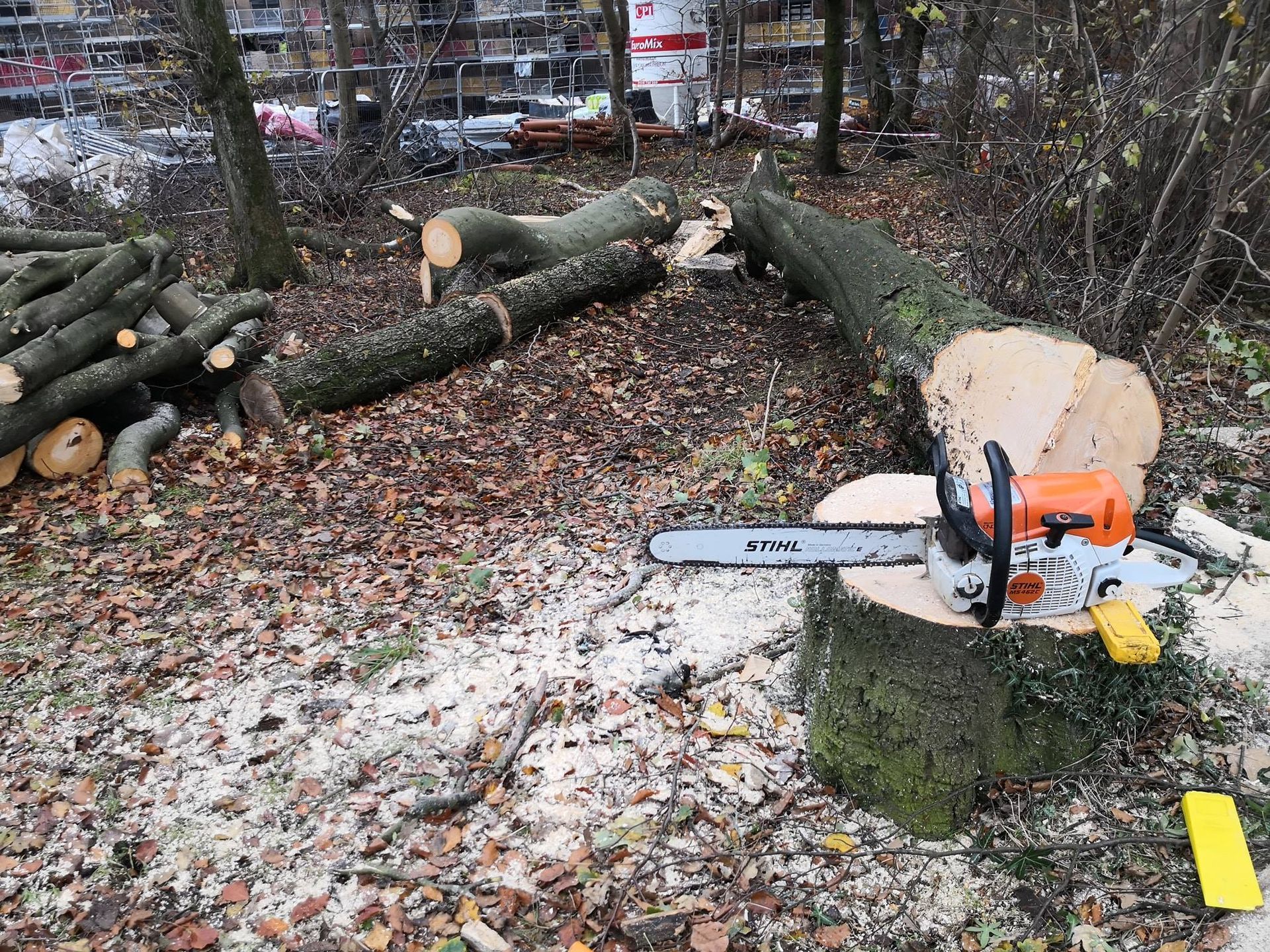 tree sectional dismantling service