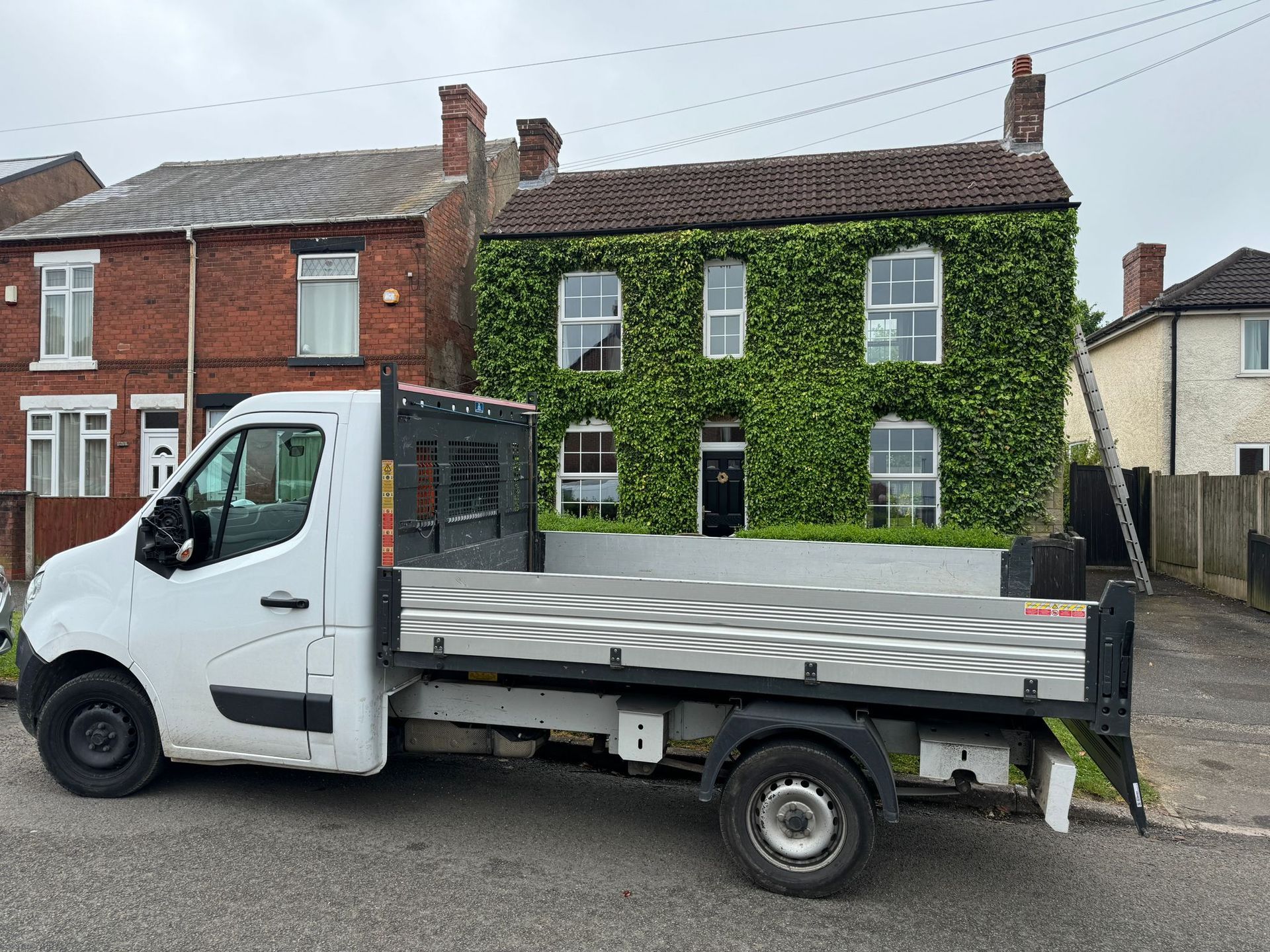 overgrown ivy due for ivy removal in Derby, tree service