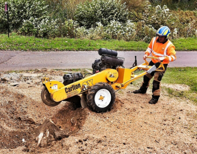tree surgeon performing a stump removal with a stump grinding machine