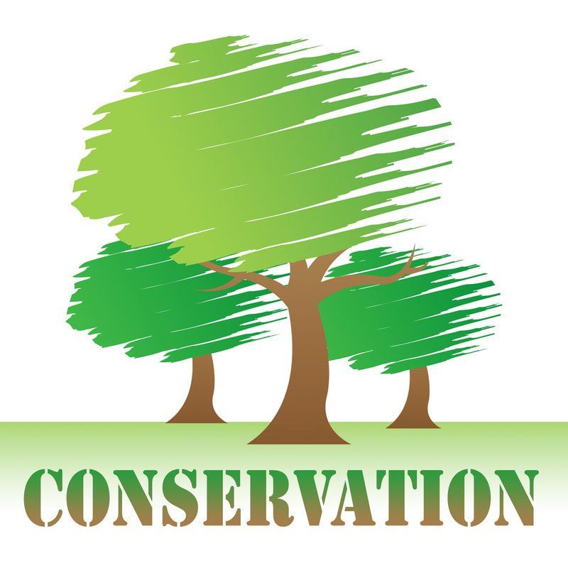 nottingham tree conservation