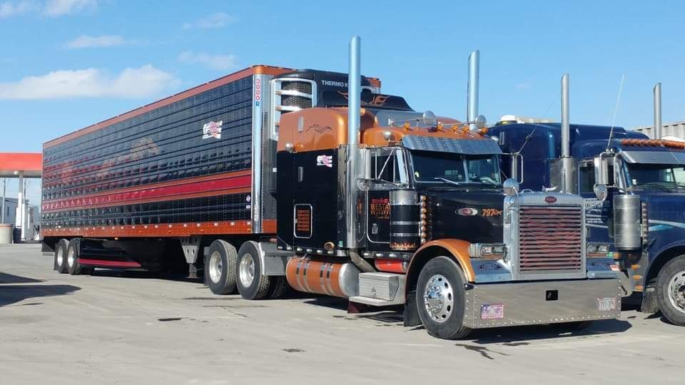 Deux semi-remorques sont garés l'un à côté de l'autre sur un parking.