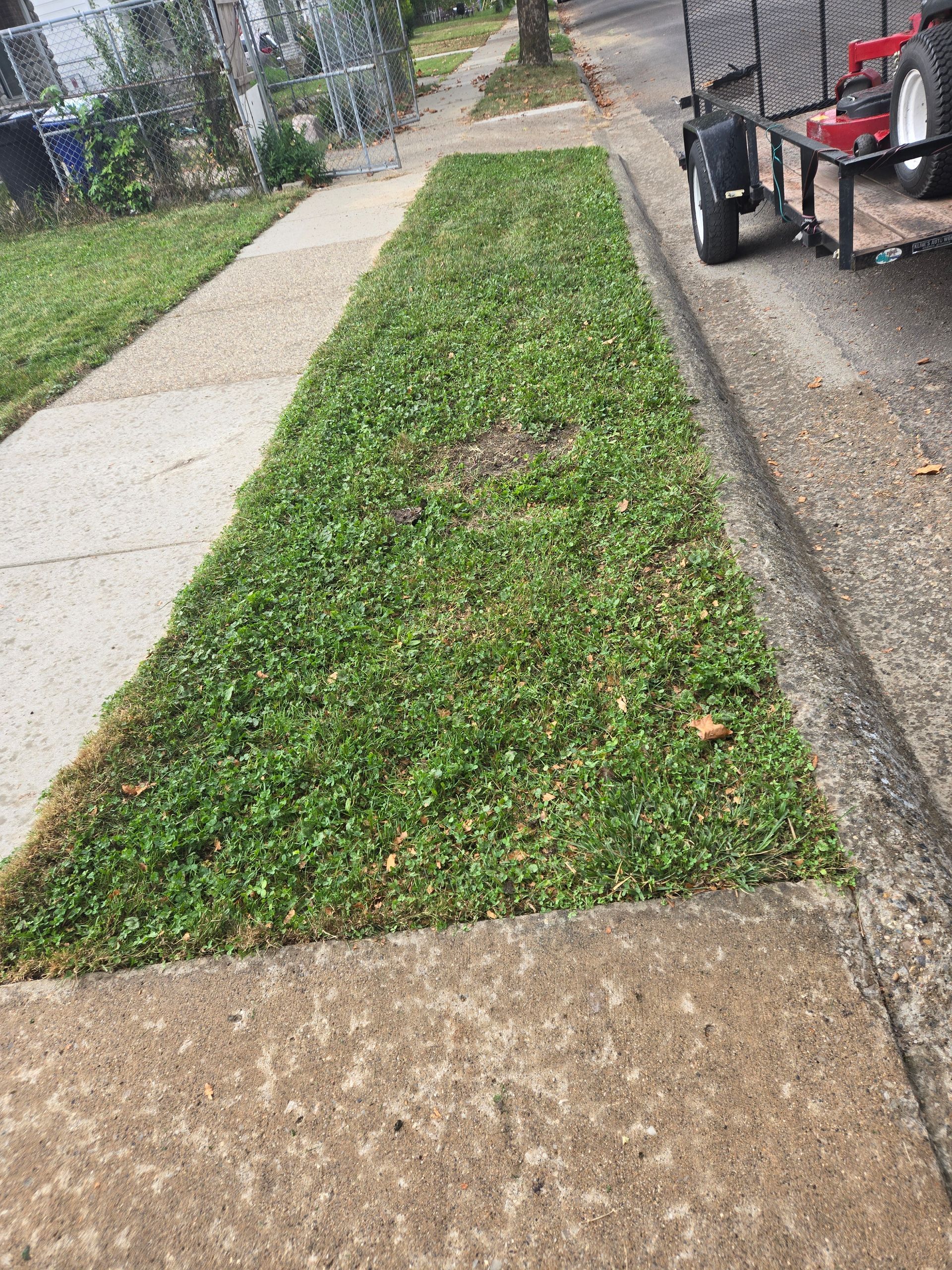 A narrow rectangular strip of lawn between a concrete sidewalk and a curb, with a trailer parked on the adjacent road.