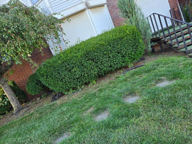 A manicured green hedge grows in front of a brick house with a white garage door, next to a tree and wooden deck stairs.