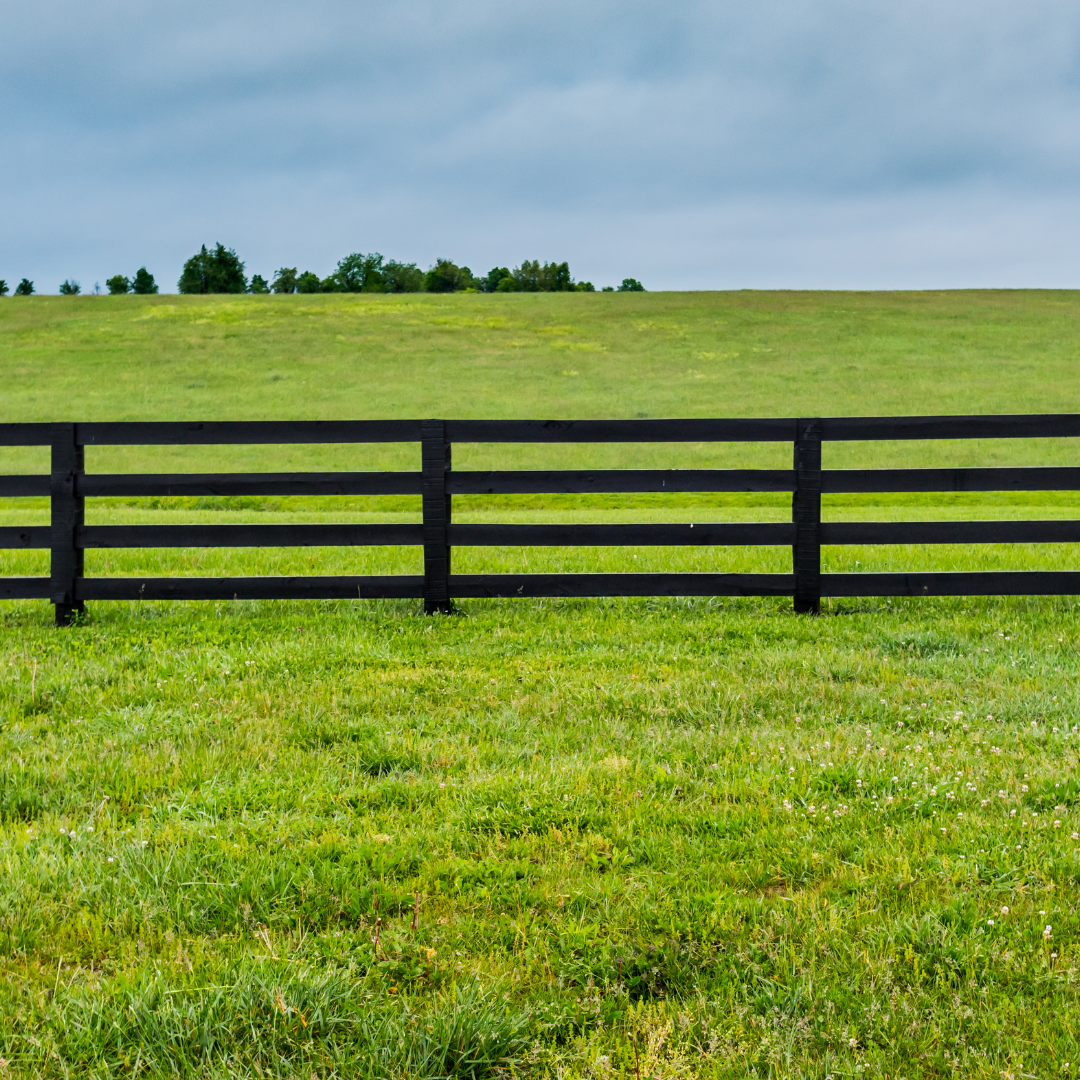 A black wooden fence surrounds a lush green field.