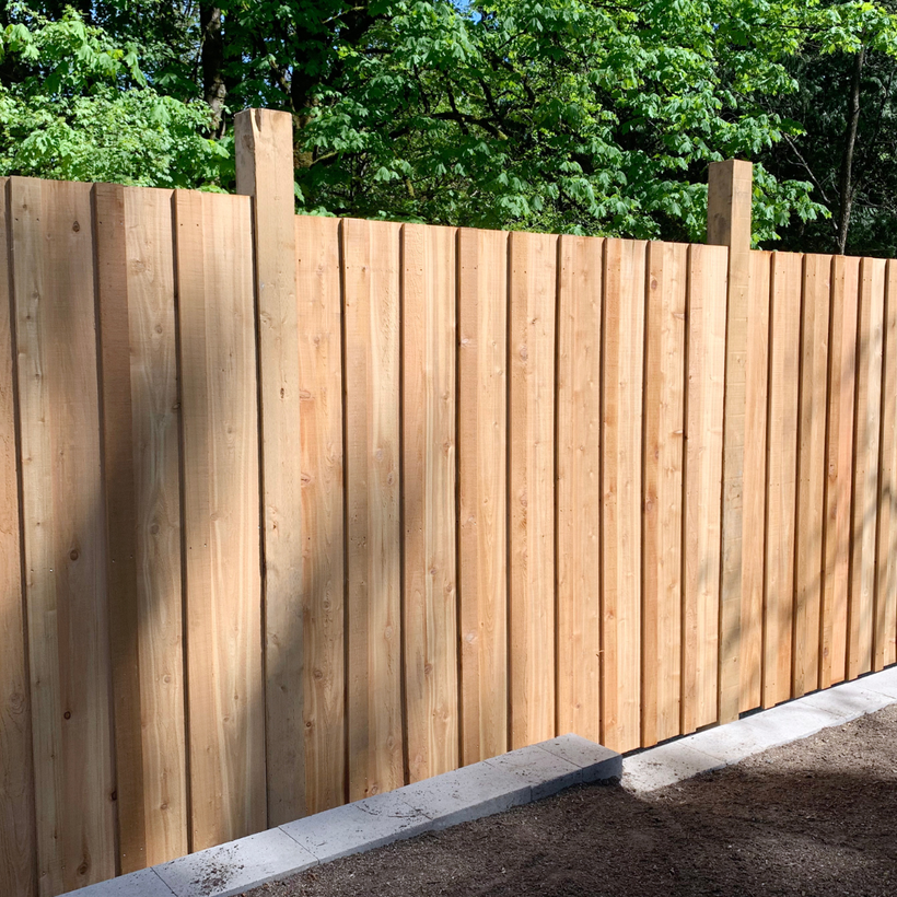 A wooden fence is surrounded by trees in a backyard.