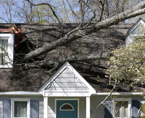Tree branch fallen on a house roof, causing damage.