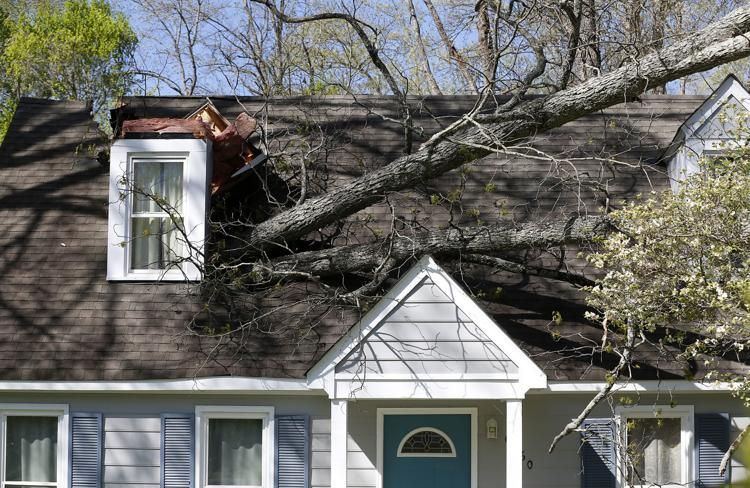 Roof of a Maryland home with a large tree fallen through it before emergency roofing services from Four Seasons Roofing began