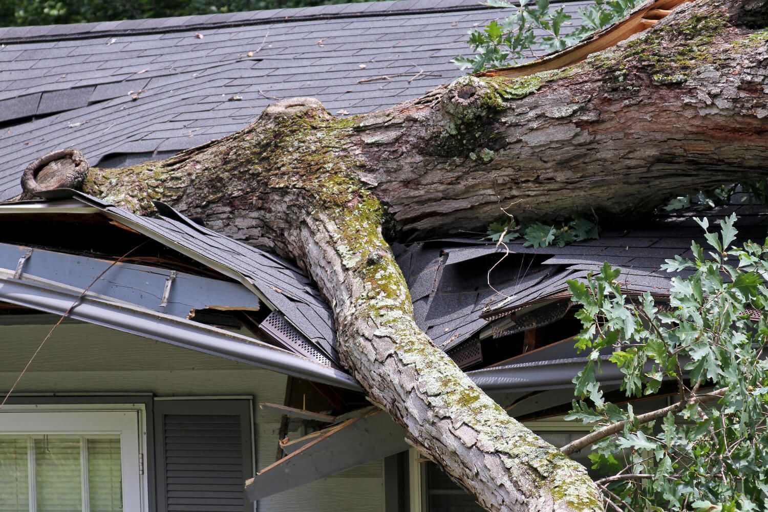 Severe roof damage caused by a tree falling during a summer storm | Four Seasons Roofing | Maryland