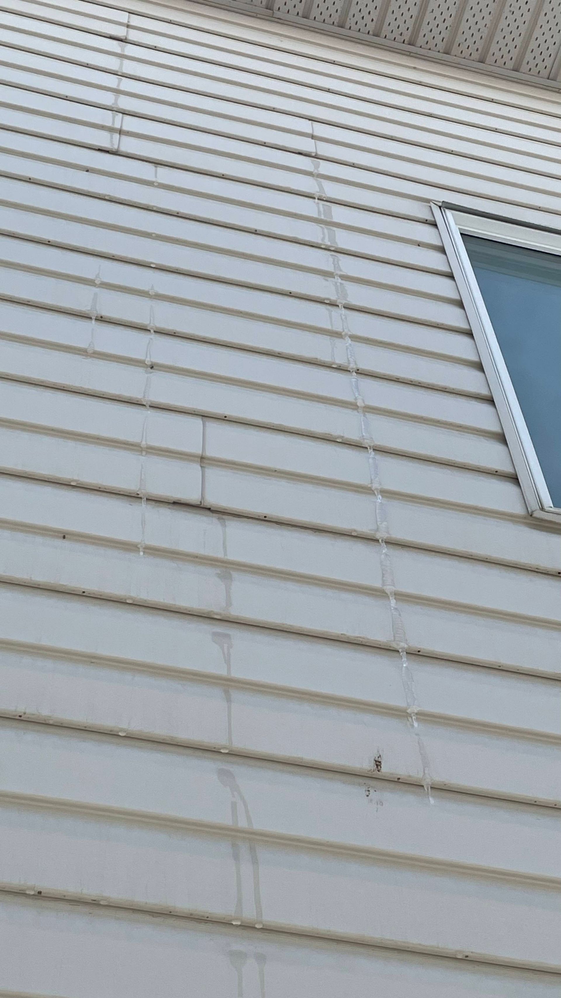 Light-colored siding on a building with vertical streaks of dirt or water, and a window.