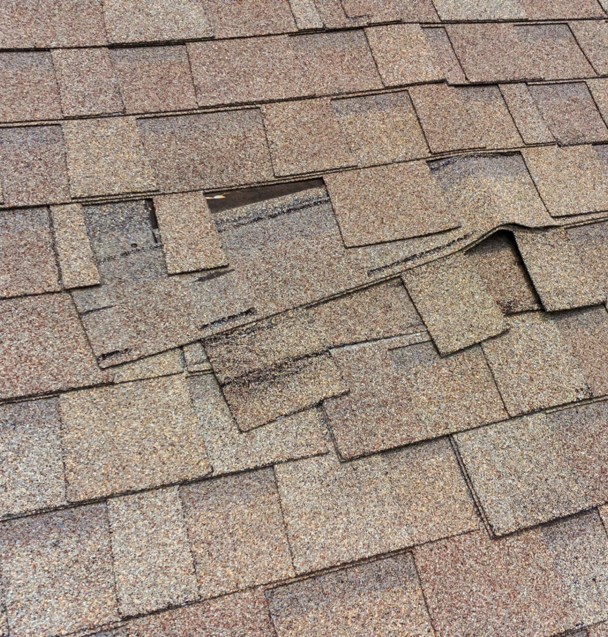 Damaged asphalt shingles on a roof, showing missing and curling sections, brown hues.
