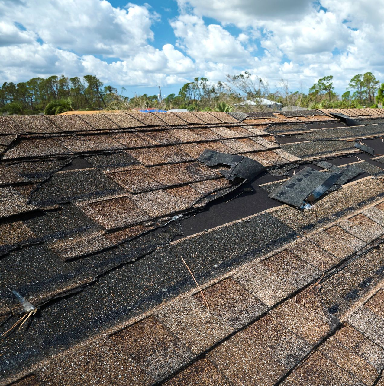 Damaged asphalt shingle roof, torn and missing shingles, against a cloudy blue sky.
