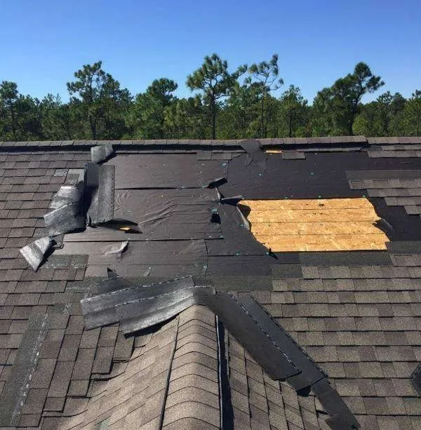 Damaged asphalt shingle roof, with missing shingles exposing wood. Daytime, sunny with trees in background.