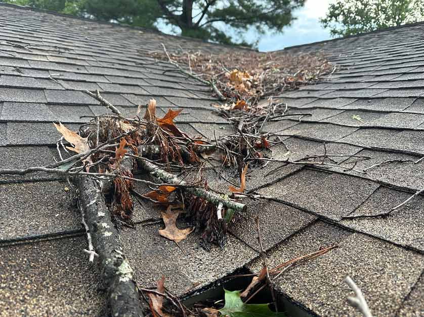 Close up of a roof that has collected fallen leaves and branches