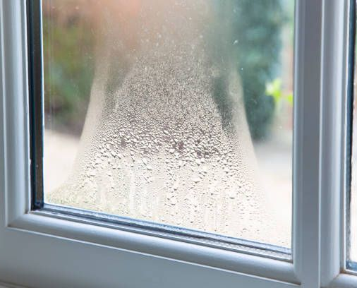 Window with condensation; white frame; blurry view of greenery outside.