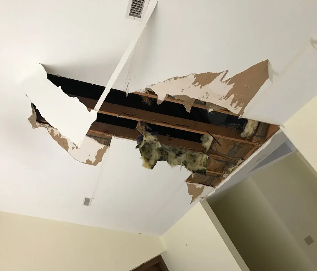 A large hole in a white ceiling revealing wooden joists and yellow insulation, with hanging torn drywall pieces.