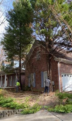 A man is cutting a tree in front of a brick house.