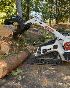 A bobcat tractor is cutting a tree in the woods.