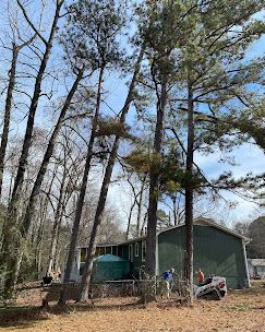 A house in the middle of a forest with trees in front of it.