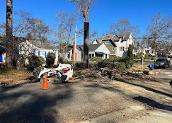 A stump grinder is sitting on the side of the road next to a tree.
