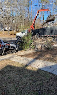 A crane is lifting a tree branch into a dumpster.