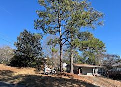 A house is sitting on top of a hill next to a tree.