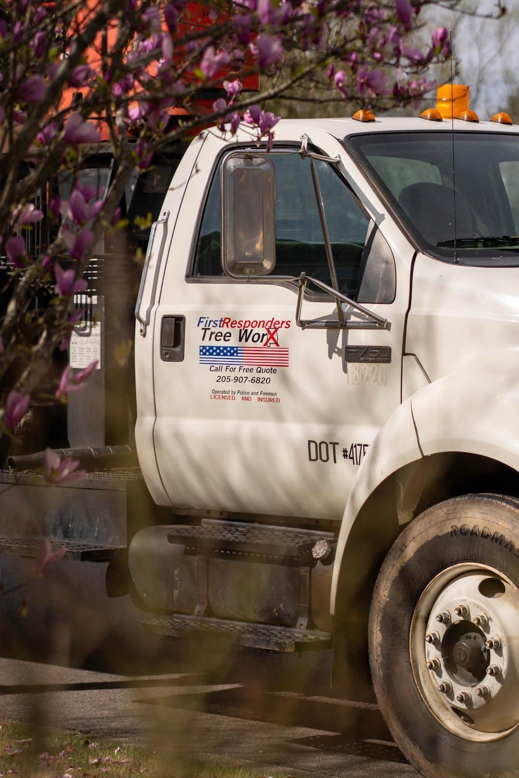 A white truck is parked in front of a tree with purple flowers.