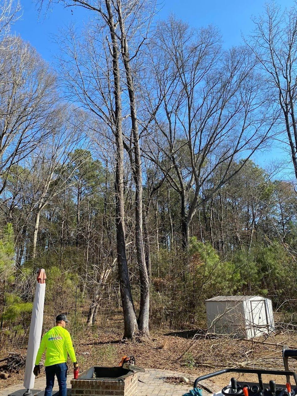 A man is standing next to a tree in the middle of a forest.