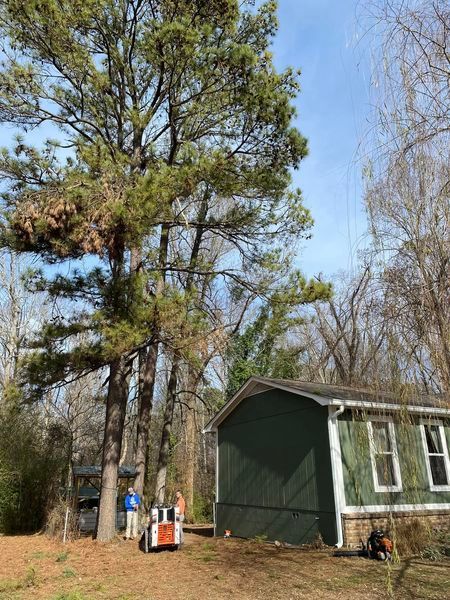 A green house is sitting in the middle of a forest next to a tree.