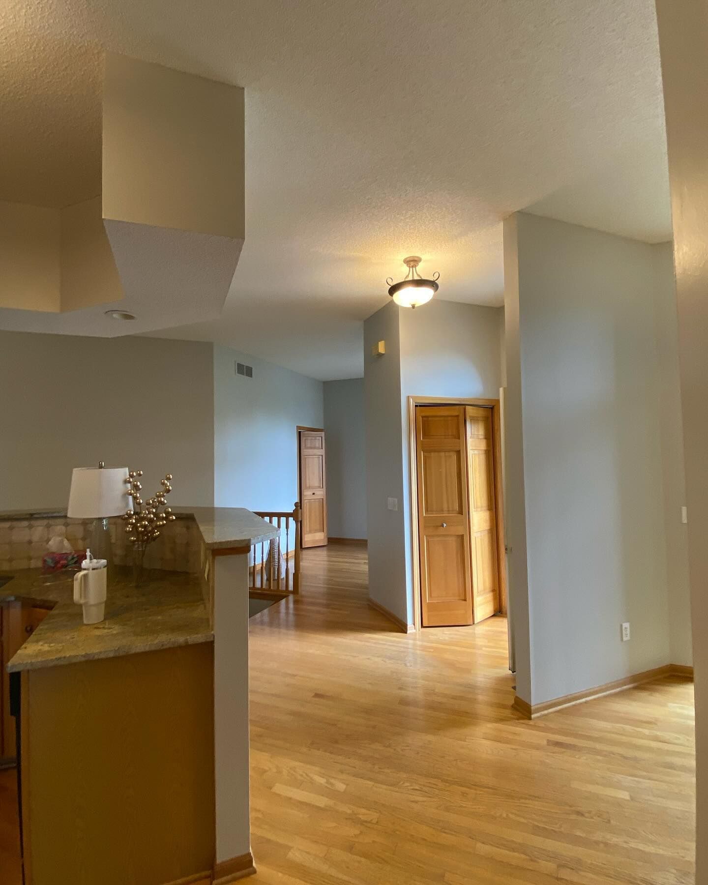 Interior view of a hallway with light wood floors, pale blue walls, and a wood door. A kitchen counter is in the foreground.