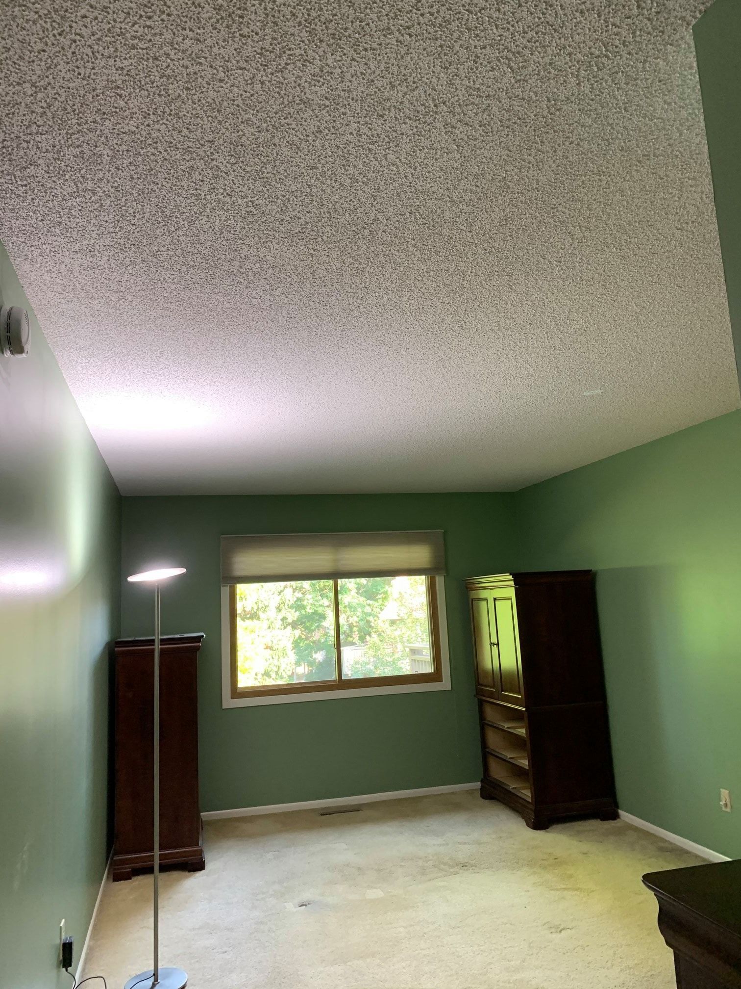 A bedroom with green walls, a popcorn ceiling, two dark wooden cabinets, a window, and a standing lamp. The carpet is beige.