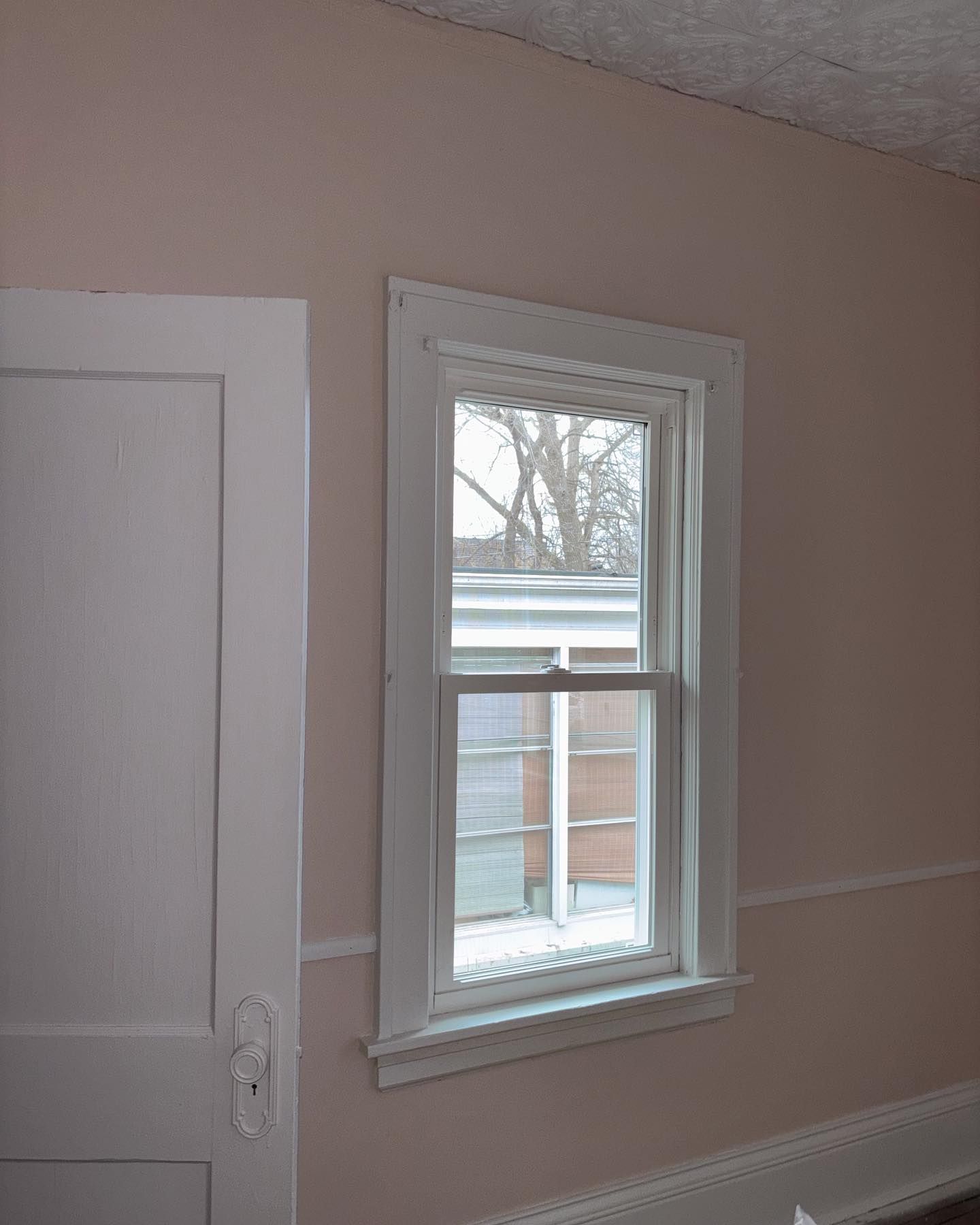 Pink-walled room with a white-framed window and door. The window looks out onto a yard.