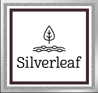 silver leaf