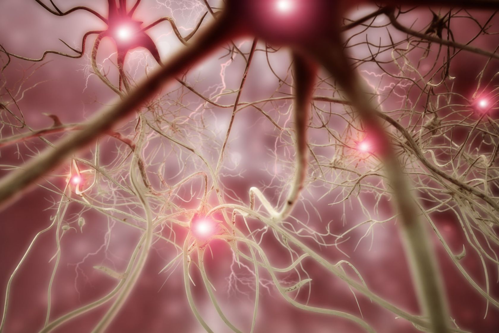 Rappresentazione di neuroni