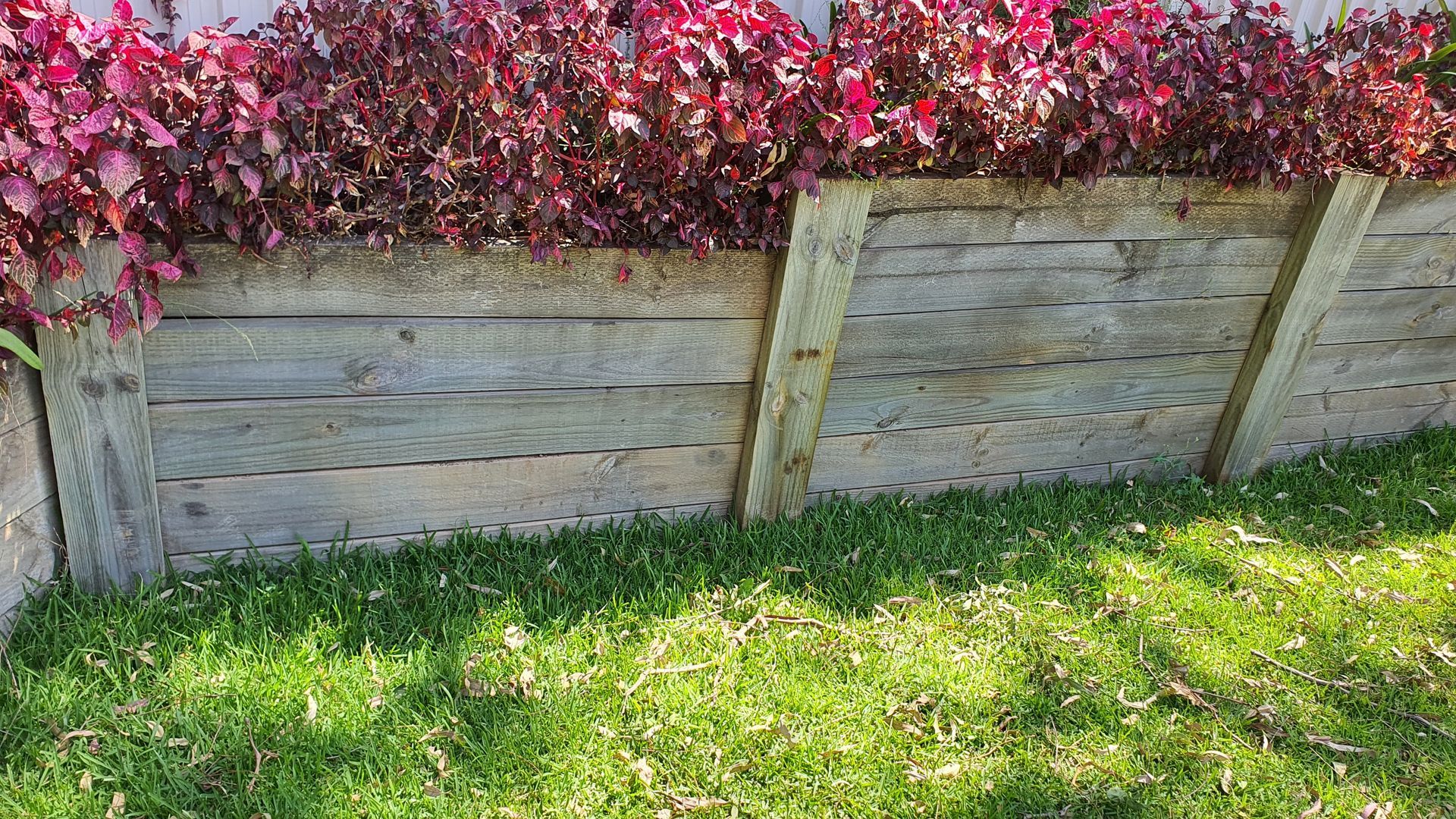 A wooden planter filled with purple flowers is sitting on top of a lush green lawn.