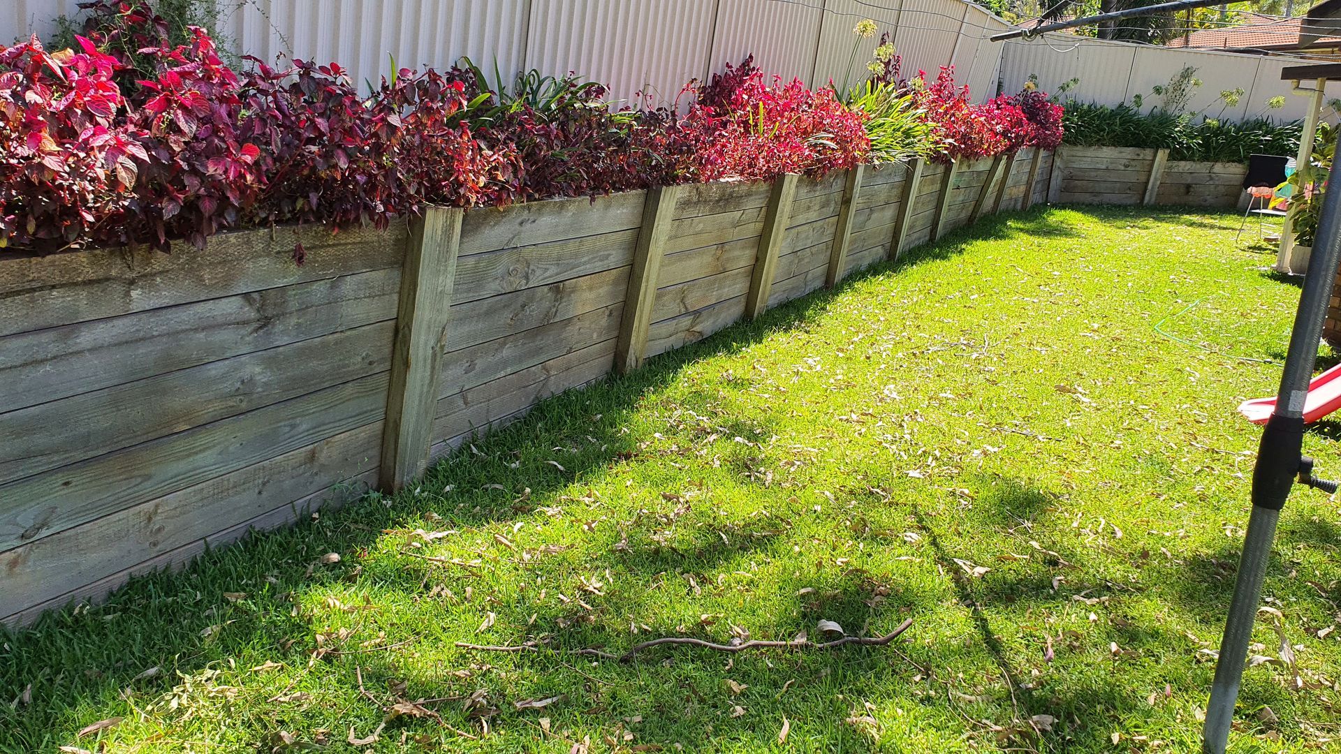 A wooden fence surrounds a lush green lawn.