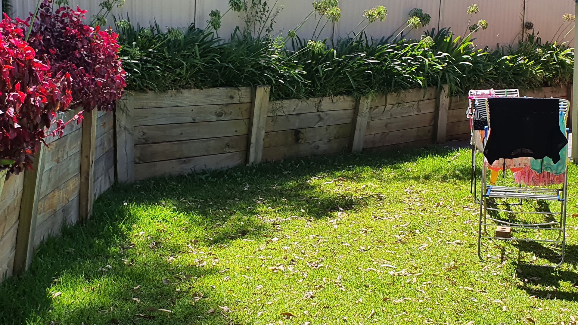 A chair is sitting in the middle of a lush green yard.